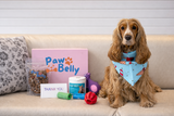 Pawbelly-box Subscriptions
